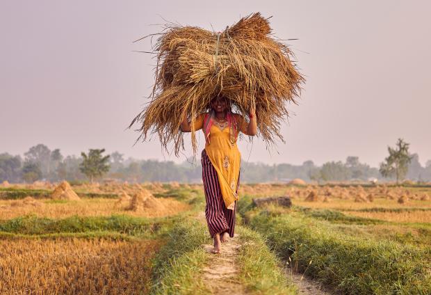Reistransport / Bardia National Park (Begegnungen in Nepal - 22)